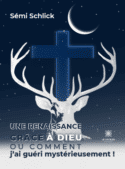 Une renaissance grâce à Dieu Ou comment j’ai guéri mystérieusement !