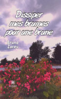 Dissiper mes brumes pour une brune