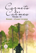 Carnets des Carmes - Volume II : Essai clean-nique