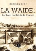 La waide : l’or bleu oublié de la France