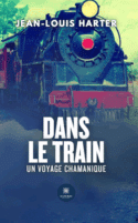Dans le train - Un voyage chamanique