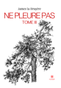 Ne pleure pas - Tome III