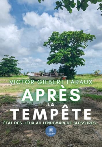 Après la tempête – État des lieux au lendemain de blessures…