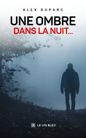 Une ombre dans la nuit…