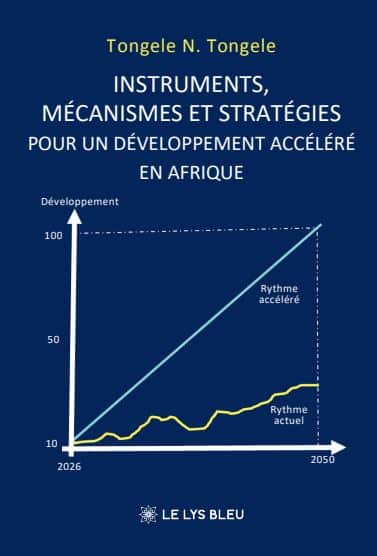 Instruments, mécanismes et stratégies pour un développement accéléré en Afrique