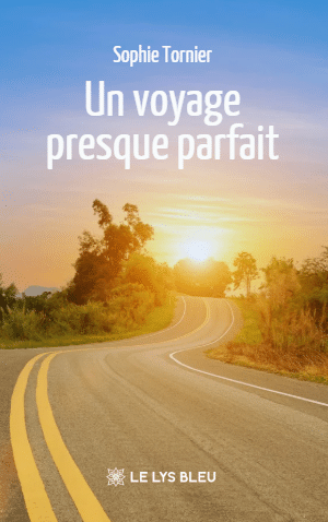 Un voyage presque parfait